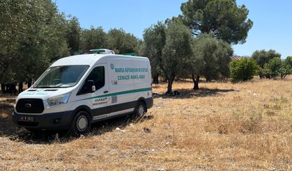 Manisa'da 15 yıldır zeytinlikte yaşayan şahıs ölü bulundu