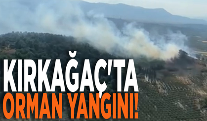Kırkağaç'ta orman yangını! Ekipler müdahale ediyor