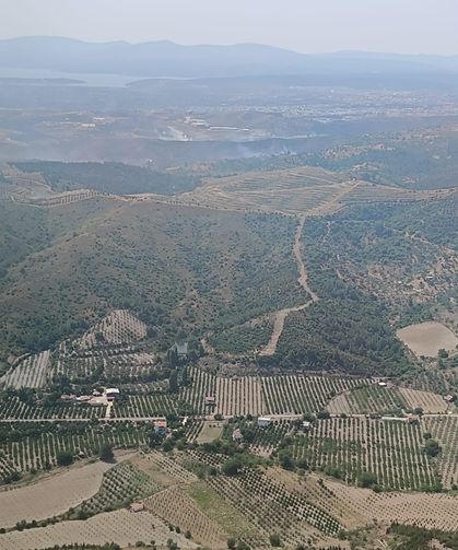 Orman yangını kontrol altında
