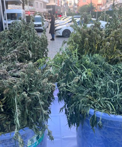 Tek operasyonda 3 milyon uyuşturucu hap ele geçti: 46 tutuklama