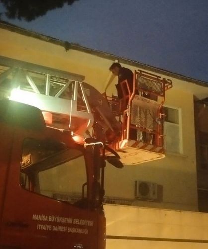 Salihli'de çatıda mahsur kalan kedi kurtarıldı