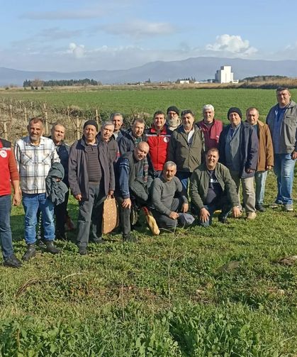 Salihli’de üreticilere budama ve gübreleme eğitimi