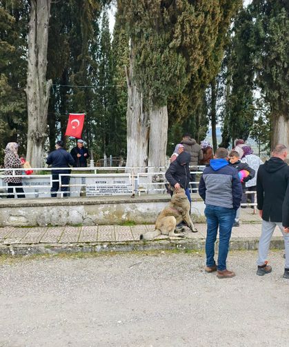 Arefe günü mezarlıklarda hüzün ve dua bir aradaydı