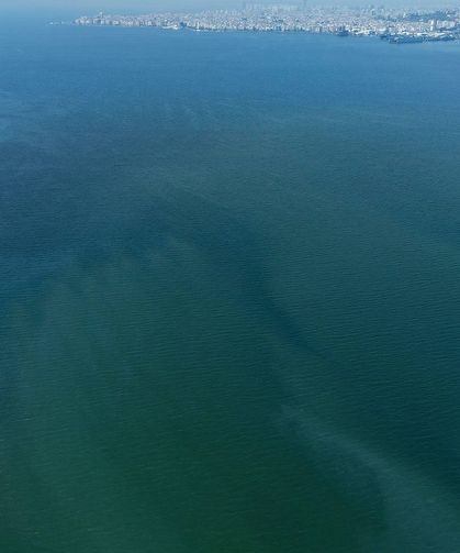 İzmir Körfezi’nde yine dış kaynaklı kirlilik alarmı