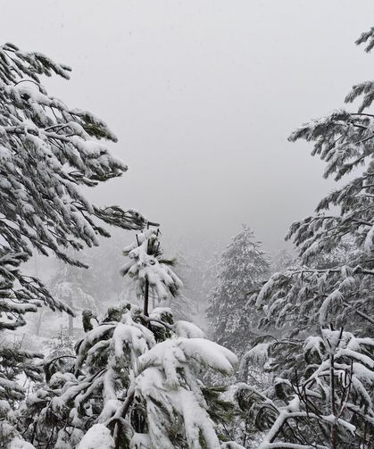 Demirci'ye kar yağdı