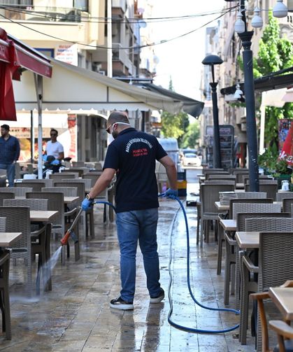Manisa'da sivrisinekten kemirgene tam kapsamlı mücadele