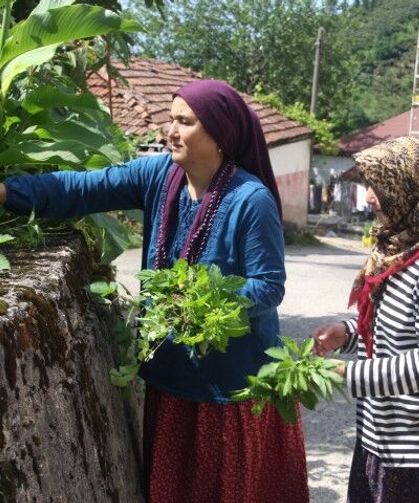 Bu mahallede herkesin soyadı aynı