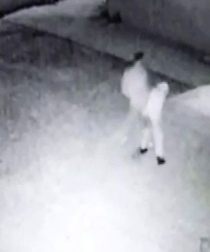 Avluda uygunsuz halde yakalandıkları imamı darp ettiler