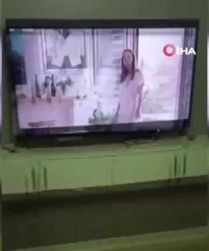 İstanbul’da evlere giren dev çekirgeler paniğe neden oldu