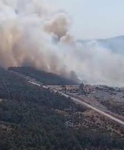 Çanakkale'de orman yangını
