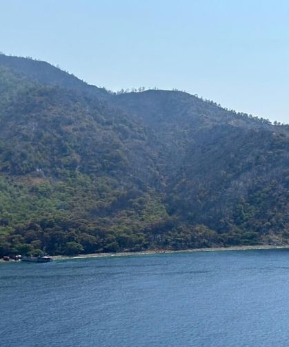 Marmaris'teki orman yangını kontrol altına alındı