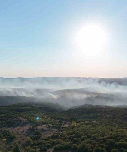 Gebze’deki orman yangını havadan görüntülendi