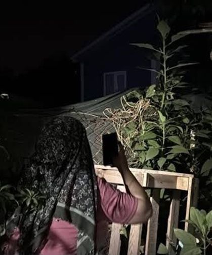 Bir tıkırtı yetiyor, herkes sokağa fırlıyor: Gece saatlerinde fenerlerle iz sürüyorlar