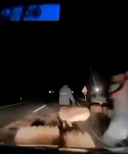 Kazayı fark ettirmek için yola saman balyası koyarken otomobil çarptı: O anlar kamerada