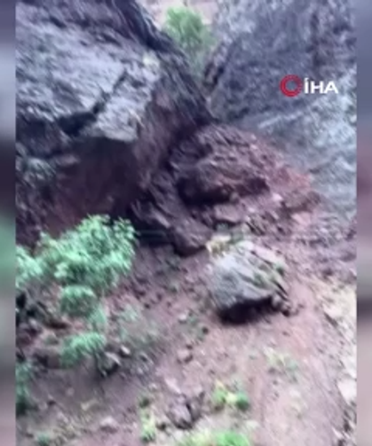 Dağ keçileri böyle nasıl hayatta kalabiliyor?