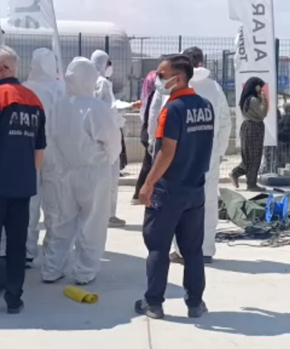 Domates serasında zehirlenme