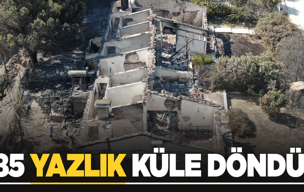 İzmir’deki yangında 85 yazlık ev küle döndü