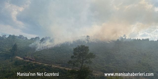 Manisa’da orman yangını, uçak ve helikopterler müdahale ediyor