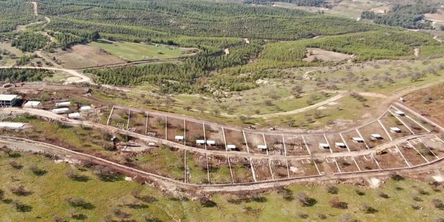 Manisa'da sokak hayvanları sorununu çözecek projede son durum 