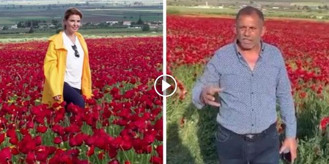 Gelinciklerin olduğu tarladan video paylaşan Gülben Ergen'e tarla sahibinden tepki