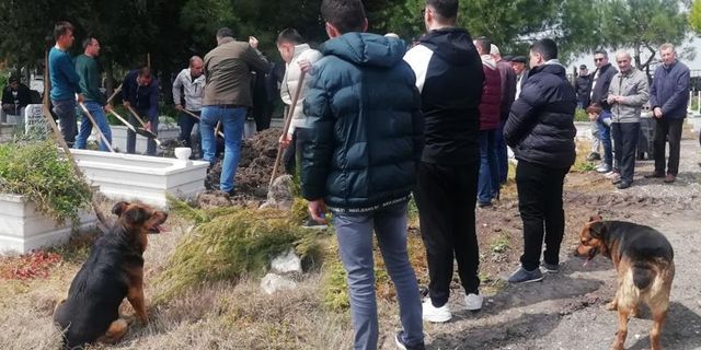Vefalı köpek Messi mahalledeki tüm cenazelere katılıyor