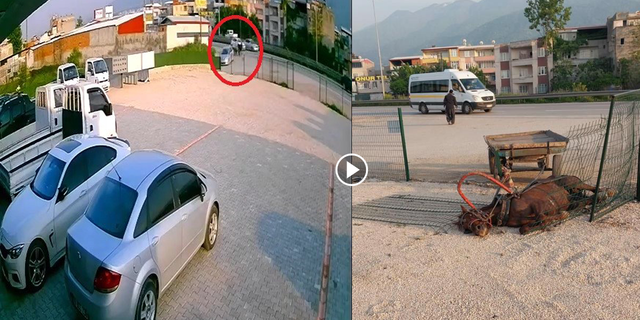 Bursa’da başıboş at böyle kaza yaptı, telef oldu