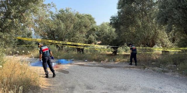 İzmir'de kadın cinayeti: Eski eşini öldürüp intihar etti!