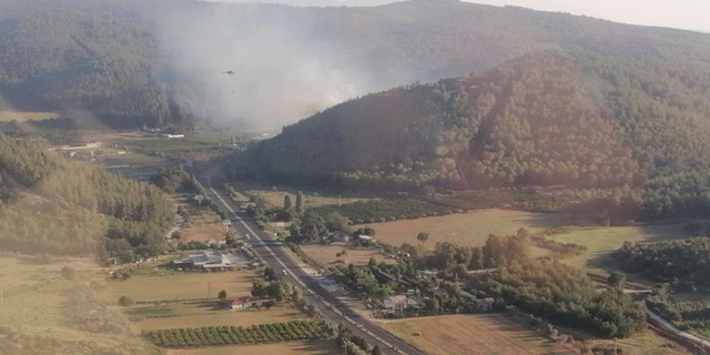İzmir’de orman yangını! Ekipler müdahale ediyor