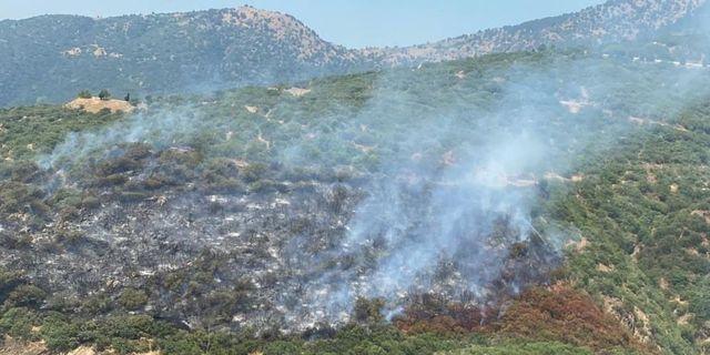 İzmir'de otomobilde çıkan yangın ormana sıçradı! Ekipler müdahale ediyor