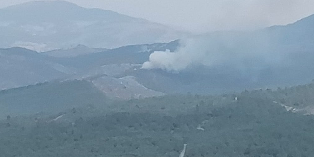 Manisa'da orman yangını!