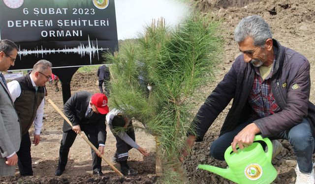 Deprem şehitlerinin hatıraları Manisa'daki ormanda yaşatılacak