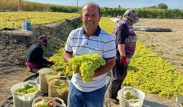 CHP'li Gürtunca: 9 numara üzüm en az 50 TL olacak! 
