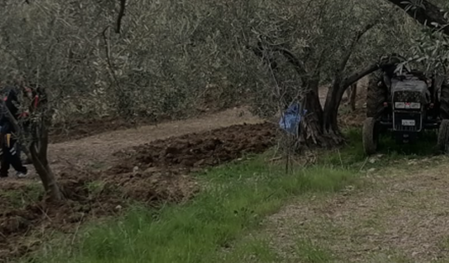 Manisa'da feci kaza! Talihsiz çiftçi ağaçla traktör arasına sıkışarak can verdi