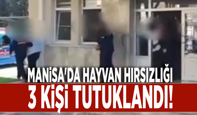 Manisa'da hayvan hırsızlığı: 3 kişi tutuklandı!