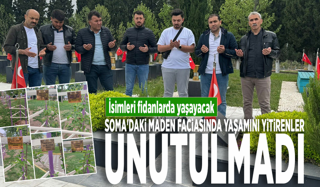 Soma'daki maden faciasında yaşamını yitirenler unutulmadı... İsimleri fidanlarda yaşayacak