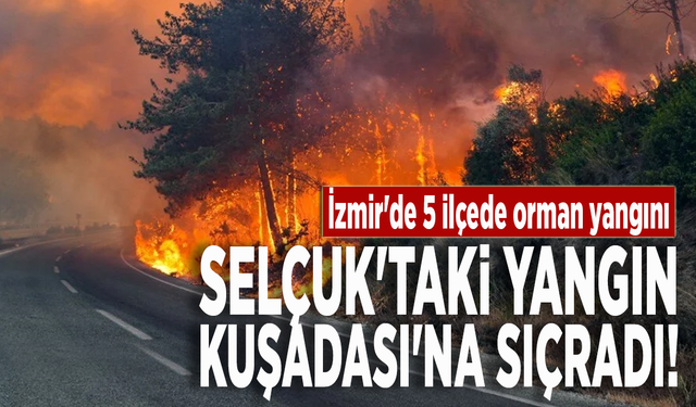 İzmir'de 5 ilçede orman yangını: Selçuk'taki yangın Kuşadası'na sıçradı
