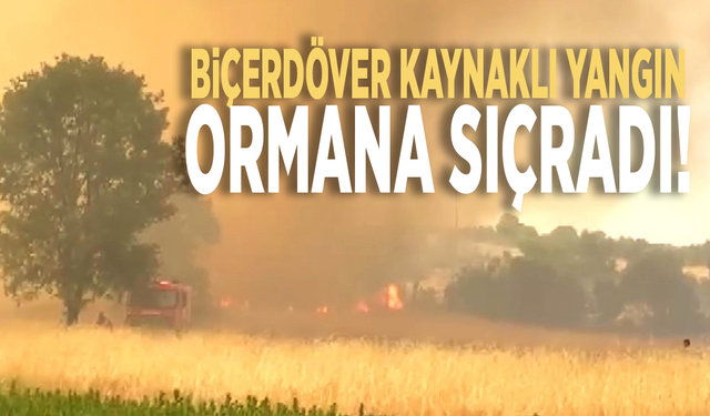 Biçerdöver kaynaklı yangın ormana sıçradı!