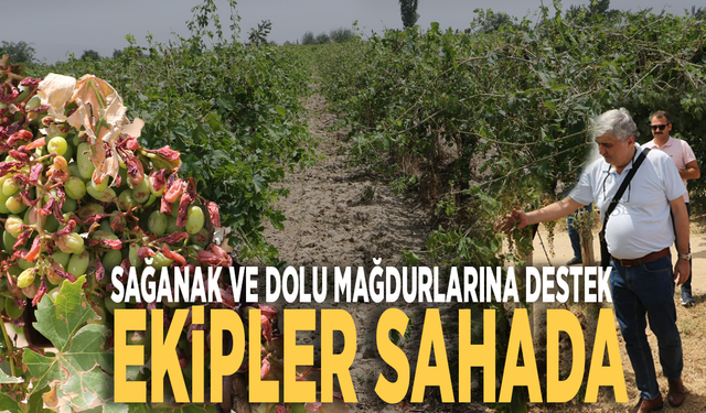 Sağanak ve dolu mağdurlarına destek... Ekipler sahada