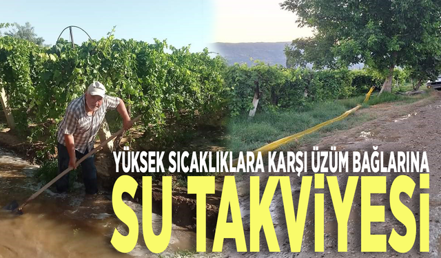 Yüksek sıcaklıklara karşı üzüm bağlarına su takviyesi