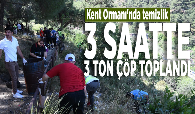 Kent Ormanı'nda temizlik... 3 saatte 3 ton çöp toplandı