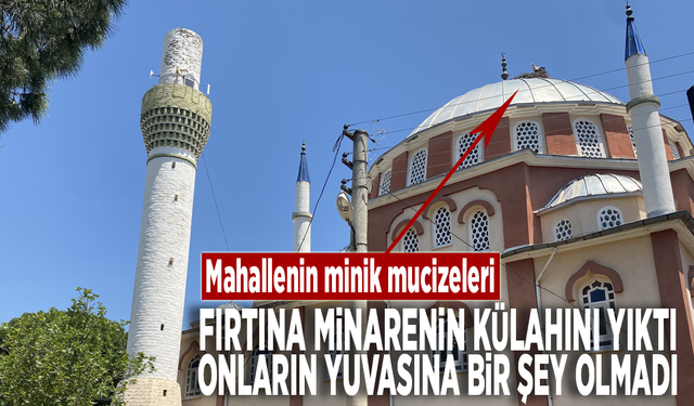 Mahallenin minik mucizeleri... Fırtına minarenin külahını yıktı, onların yuvasına bir şey olmadı