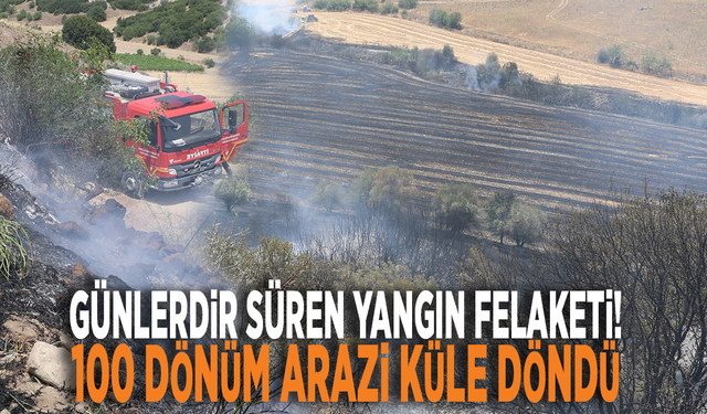 Günlerdir süren yangın felaketi! 100 dönüm arazi küle döndü