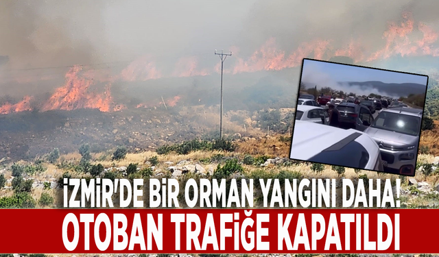 İzmir'de bir orman yangını daha! Otoban trafiğe kapatıldı