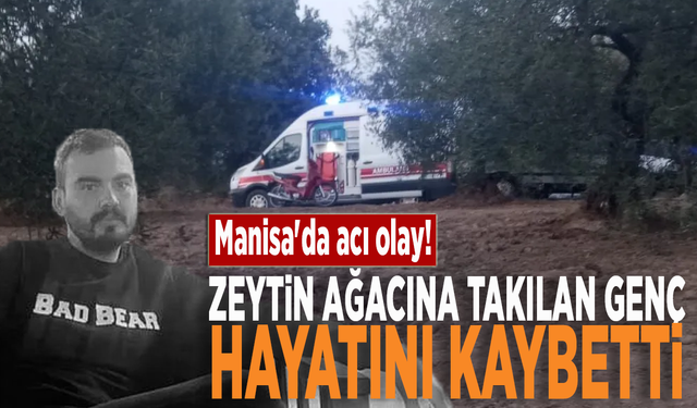 Manisa'da acı olay! Zeytin ağacına takılan genç hayatını kaybetti