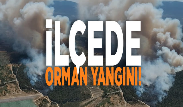 İlçede orman yangını! Ekipler müdahale ediyor