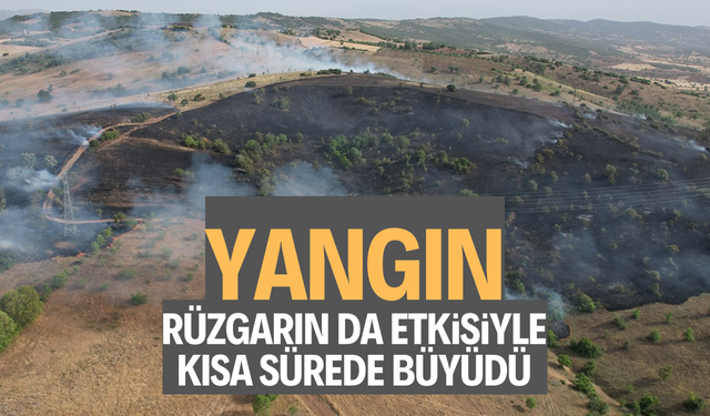 Yangın, rüzgarın da etkisiyle kısa sürede büyüdü