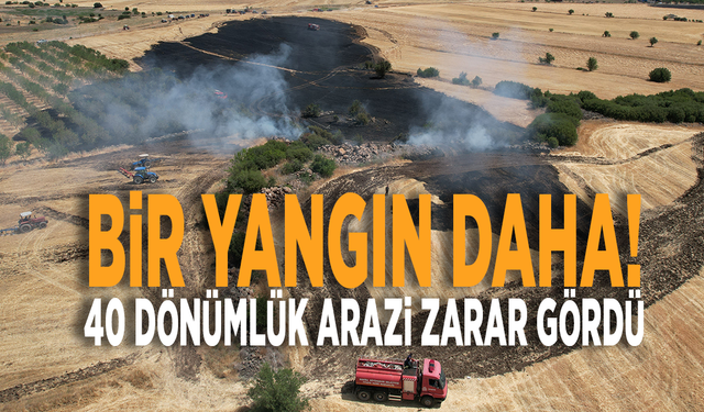 Bir yangın daha! 40 dönümlük arazi zarar gördü