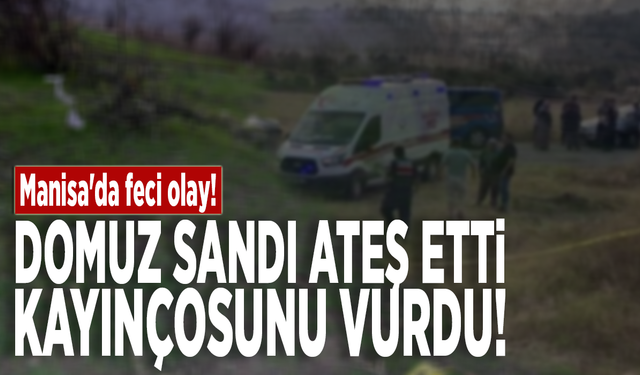 Manisa'da feci olay! Domuz sandığı kayınçosunu vurdu