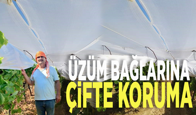 Üzüm bağlarına çifte koruma