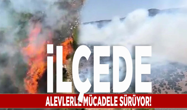 İlçede alevlerle mücadele sürüyor!